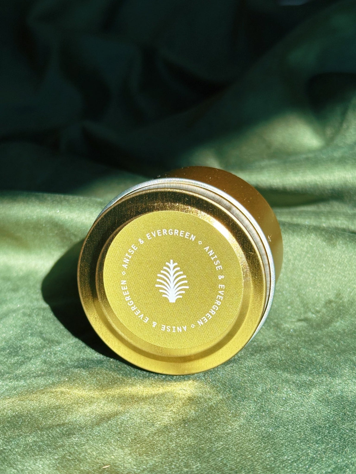 Gold sample tin labeled Anise and Evergreen photographed against soft green fabric in sunlight.