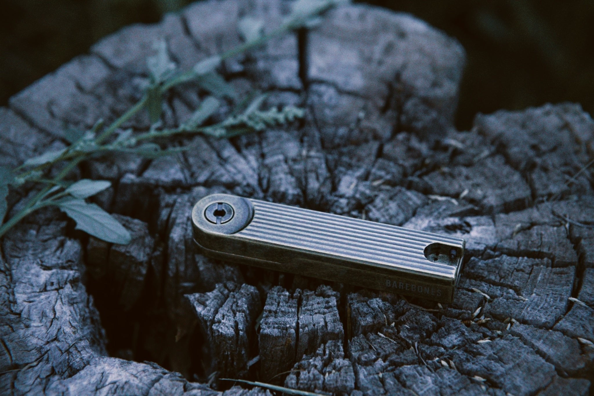 folded barebones lighter resting on a tree stump