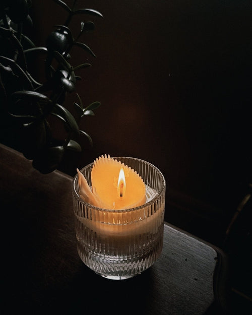Refill candle in a glass holder on a dark surface with a plant in the background
