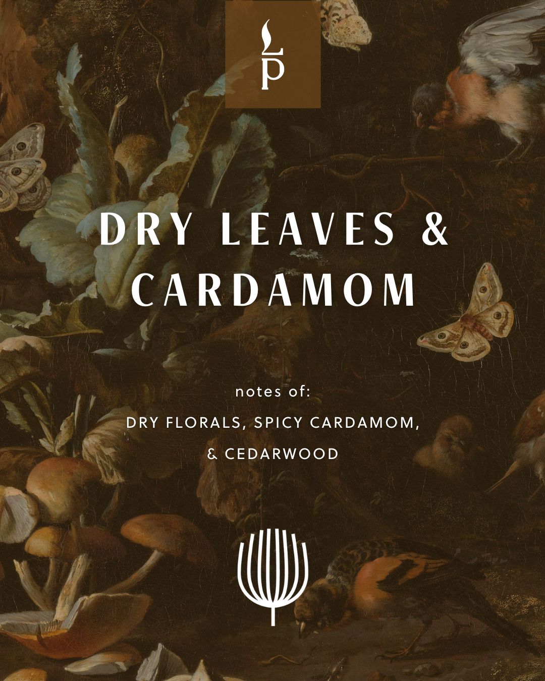 Light Provisions Dry Leaves & Cardamom candle product card with fall foliage background and logo