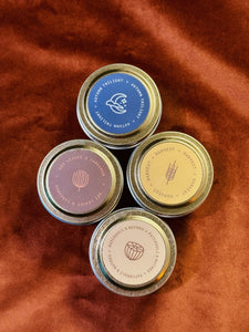Fall Discovery Sampler Pack