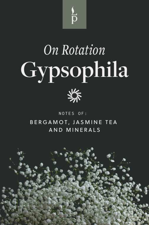 Gypsophila candle promotional card with floral background, highlighting scent notes of bergamot, jasmine tea, and minerals