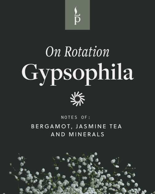 Gypsophila candle promotional card with floral background, highlighting scent notes of bergamot, jasmine tea, and minerals
