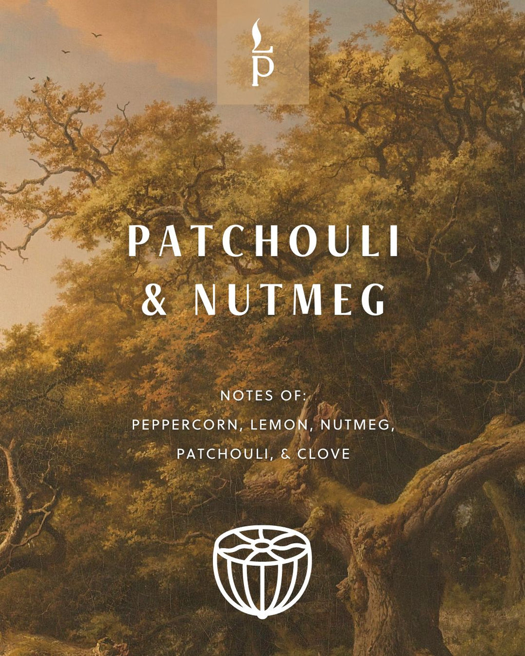 Light Provisions Patchouli & Nutmeg candle product card with autumn forest artwork background
