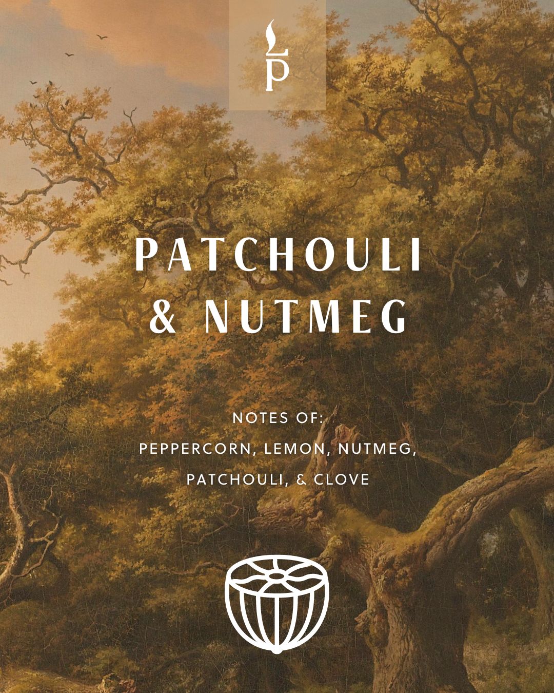 Light Provisions Patchouli & Nutmeg candle product card with autumn forest artwork background