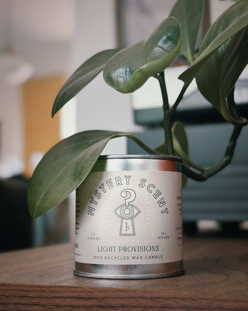 Recycled wax Mystery Candle in a reusable tin beside a trailing houseplant