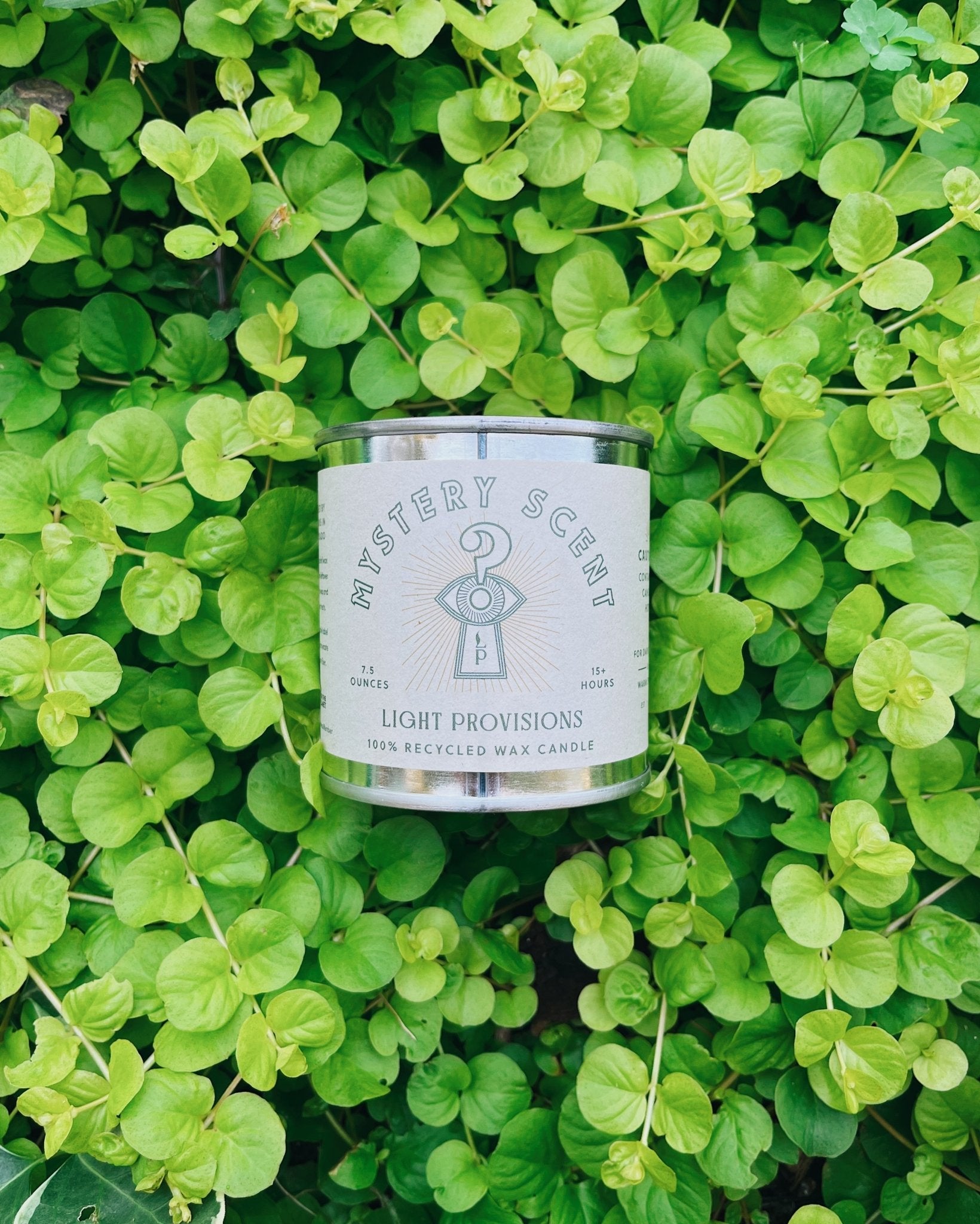 Candle labeled 'Mystery Scent' on a bed of green leaves