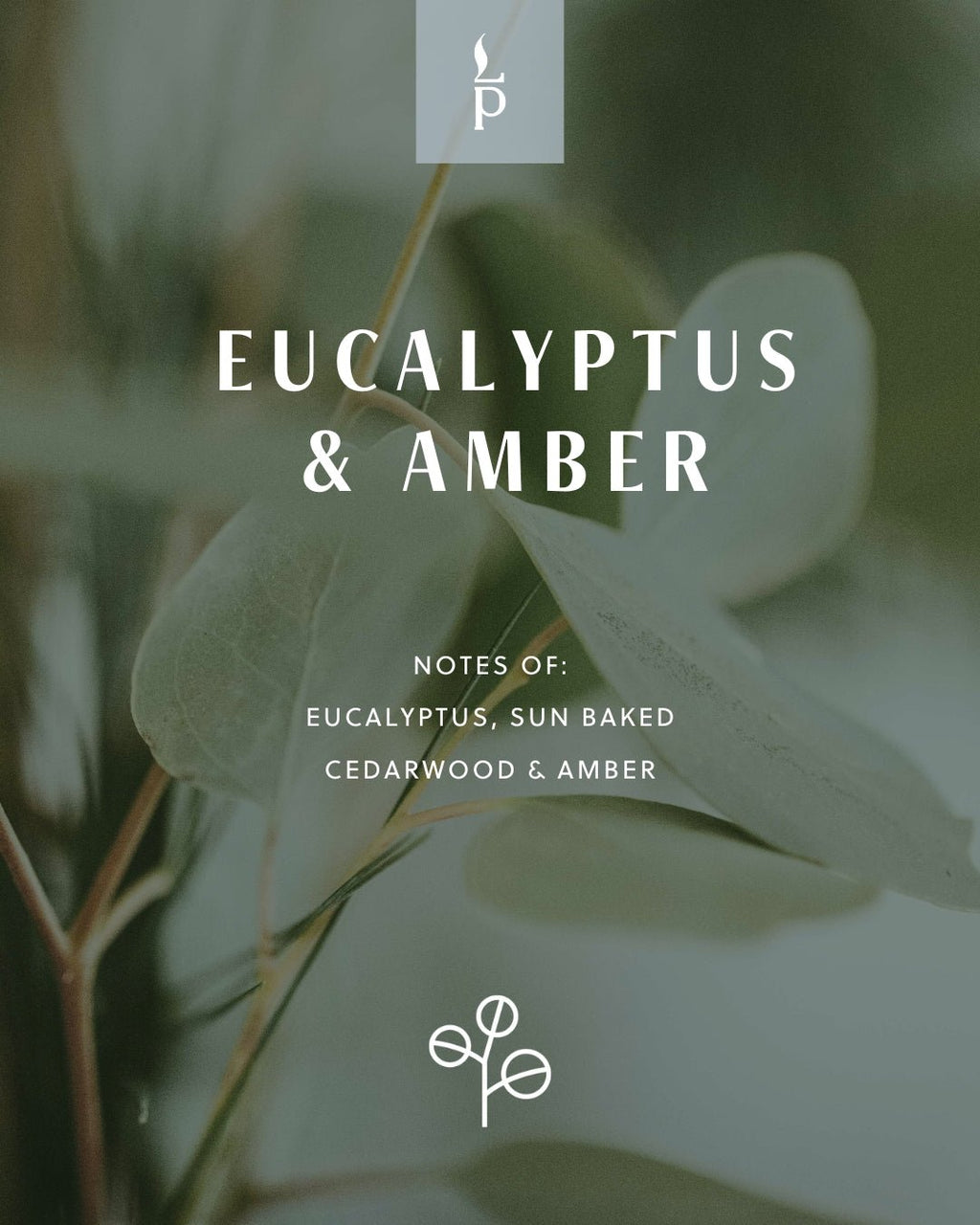 Eucalyptus & Amber winter sample tin label with botanical background.