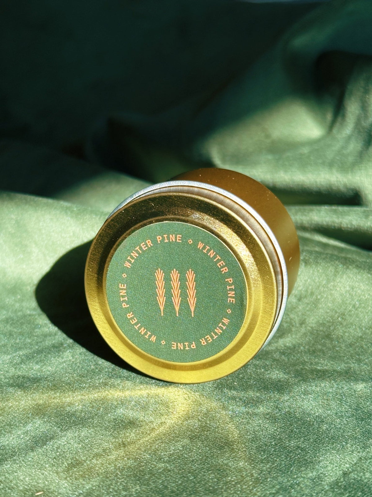 Gold sample tin labeled Winter Pine resting on green fabric with strong light and shadow.