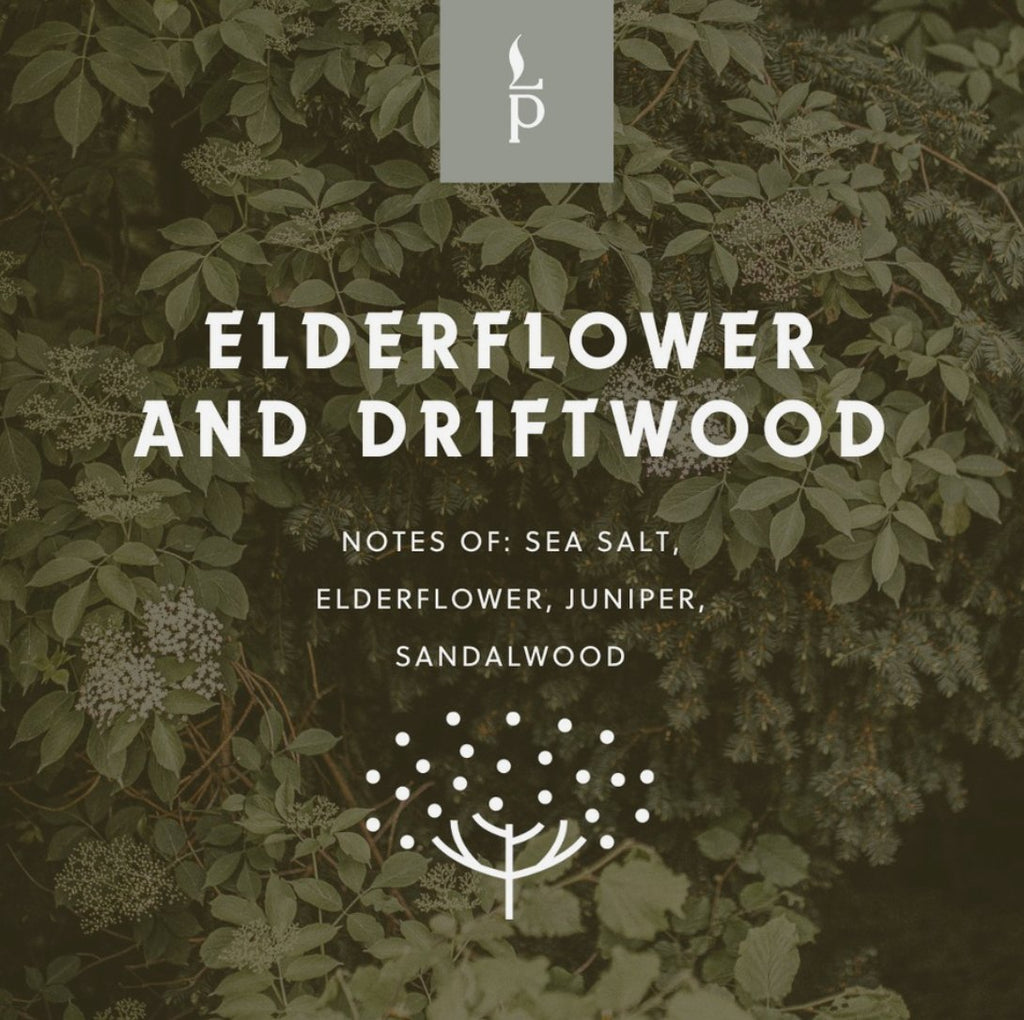 Elderflower & Driftwood scent artwork featuring coastal botanicals and driftwood-inspired imagery