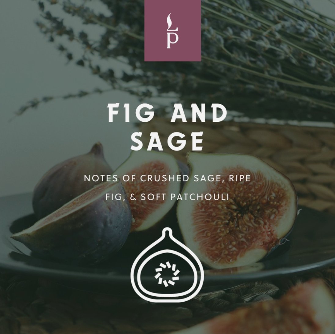 Fig & Sage Candle - Light Provisions - Candle