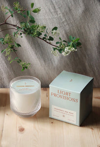 Grapefruit & Moss Candle - Light Provisions - Candle