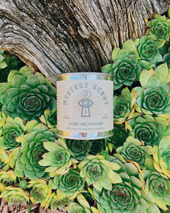 A tin mystery scented container candle with a label, placed on a bed of green succulent plants, with a piece of driftwood in the background.