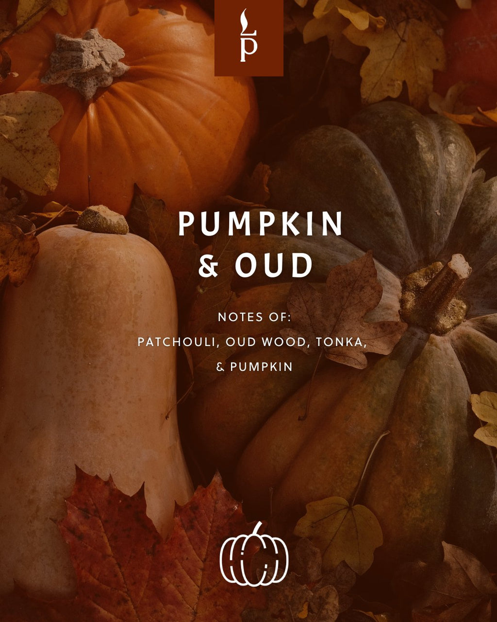 Pumpkin & Oud Wood Candle - Light Provisions - Candle